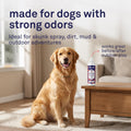 Petpost | Skunk Odor Eliminator Shampoo for Dogs & Cats. Neutralizes Strong Odors. Gentle & Safe Formula. 16 oz