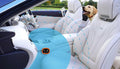 Indoor Pet Barrier for 2 Dogs, Wireless Indoor Electric Fence, Pet Gate, Keeps Areas Off Limits, Dog Fence Waterproof/Re