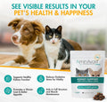 AminAvast Small Dogs & Cat Kidney Support - Promotes Healthy Kidney Support in Cats & Small Dogs - 300mg, 60 Capsule