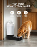 Automatic Dog Water Bowl Dispenser - 2.4 Gallon Gravity Pet Water Dispenser with 304 Stainless Steel Bowl, Dog Auto Feeders Bowls Self Waterer, Easy-Carry Handle for Large Dogs & Cats, Multi-Pet Home