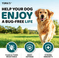 Chewable Flea and Tick Prevention for Dogs - 240 Chews - Flea Oral Pills