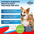 Natural Intestinal Defense for Dogs & Cats – Herbal Cleanse with Wormwood, Black Walnut – Promotes Healthy Gut & Flora Balance – Advanced Broad Spectrum Formula (2 Pack (60 ml + 60ml))
