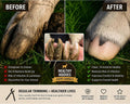 Goat Hoof Trimmers and Farrier Shears – Versatile Hoof, Wire, and Pipe Cutting Tool for Livestock– Silver (1pack)