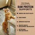 Vital Essentials Freeze Dried Cat Food, Rabbit Mini Patties, 8 oz Bag