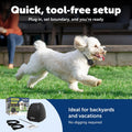 PetSafe Stay & Play Wireless Fence, 2 Dog, Up to 3/4 Acre