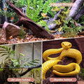 Natural Aquarium Driftwood Fish Tank Decorations Reptile Decor