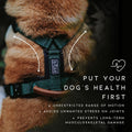 MADE TO ROAM Premium Explorer Harness - Y-Shaped Dog Harness with Adjustable Durable Nylon, Soft Padding, Metal Buckles 