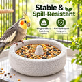 Pumice Stone Bird Feeder Bowl, 2-in-1 Food Water Dish