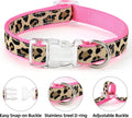 Mile High Life Leopard Dog Harness Collar Leash Set, Adjustable No Pull Dog Halter Harness for Small Breed Dogs, Easy Control for Training Walking (Pink, XS Chest 9"-15", Neck 8"-12")