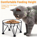 Elevated Ceramic Cat Bowls – Whisker-Friendly & Anti-Vomiting, Non-Slip Raised Cat Food Dishes – Stylish, Safe & Hygieni