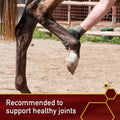 Vita Flex Ultra Pure Joint Supplement for Dogs, Horses & Cats, 4 Pounds – MSM Supplement, Equine MSM Powder for Healthy 