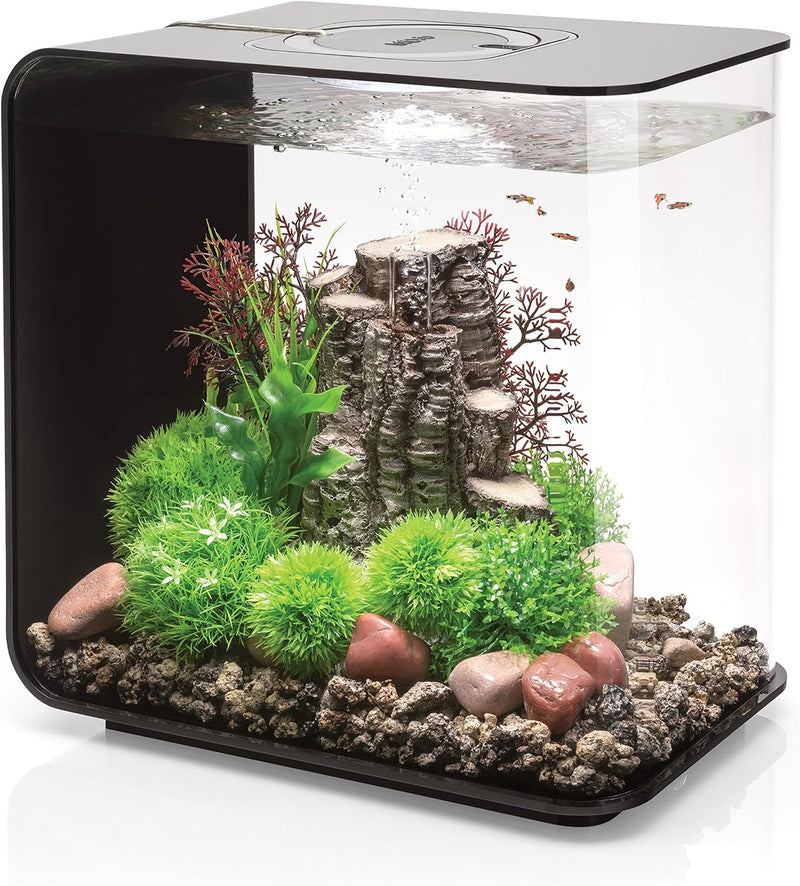 biOrb Flow 30 Acrylic 8-Gallon Aquarium with White LED Lights Modern Tank for Tabletop Display, Black