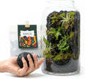 Terrarium Modeling Soil Mix, Sculpting Terrarium Substrate, Sticky Clay Soil for Moss Walls, Vertical Natural-Looking Ba