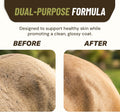 Antifungal Shampoo for Horse Antibacterial Formula Clinical Care Antiseptic