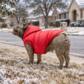 Vecomfy Fleece Lining Extra Warm Dog Hoodie in Winter for Small Dogs Jacket Puppy Coats with Hooded,Red M