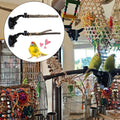 2 Pcs Parrot Perch Stand, Strong Suction Cup Bird Perch, Movable Perch Stand Bird Training Set, for Window Mirror Car Sh
