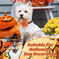 Huhumy 50 Pcs Halloween Dog Collar Flowers Bulk, Pumpkin Ghost Skull Bat