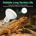 Pack of 2 Reptile Basking Light Bulbs - Incandescent 75W Simulated Sunlight UVA Heat Bulbs for Bearded Dragons, Geckos, 