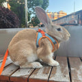 Adjustable Bunny Harness and Leash Set, Rabbit Vest Supplies(Orange S)