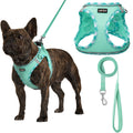 AMTOR Small Dog Harness with Leash Set, No Escape Easy Walk Puppy Harnesses for Training Walking, Step-in Reflective Soft Dogs Vest for XS S Medium Extra-Small Large Sized Dog(Green,S)