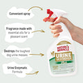 Nature's Miracle Urine Destroyer Plus for Dogs, Enzymatic Formula for Severe Stains, 32 oz