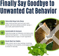 Cat Repellent Spray Outdoor & Indoor (128 OZ) Keep Cats Away, Training Tool, Yard Furniture Garden Deter Cats. Ready to 