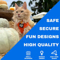 Travel Cat Harness and Leash Set - Adjustable Fit Mesh Cat Harness and Reflective Strap - Comfort Walking Vest for Kitte