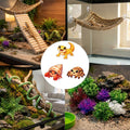 12-in-1 Hermit Crab Accessories Kit, 2026 New Kit for Bearded Dragon, Coconut Shell Hideout, Climbing Bridge, Hammock, V