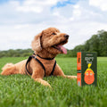 Smolotov Premium Dog Poop Bags, Unscented, Leakproof, 4 Rolls (60 Count) - Stable Genius