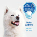 Nylabone Advanced Oral Care Pet Dental Water Additive, Liquid Tartar Remover & Breath Freshener for Dogs, Dog Teeth-Cleaning, Original Flavor, 32 oz.