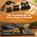 3 Pack Bearded Dragon Leash and Harness Set (S, M, L) - Growth Pack Protective Reptile Walking Rope for Outdoor Sunbathi