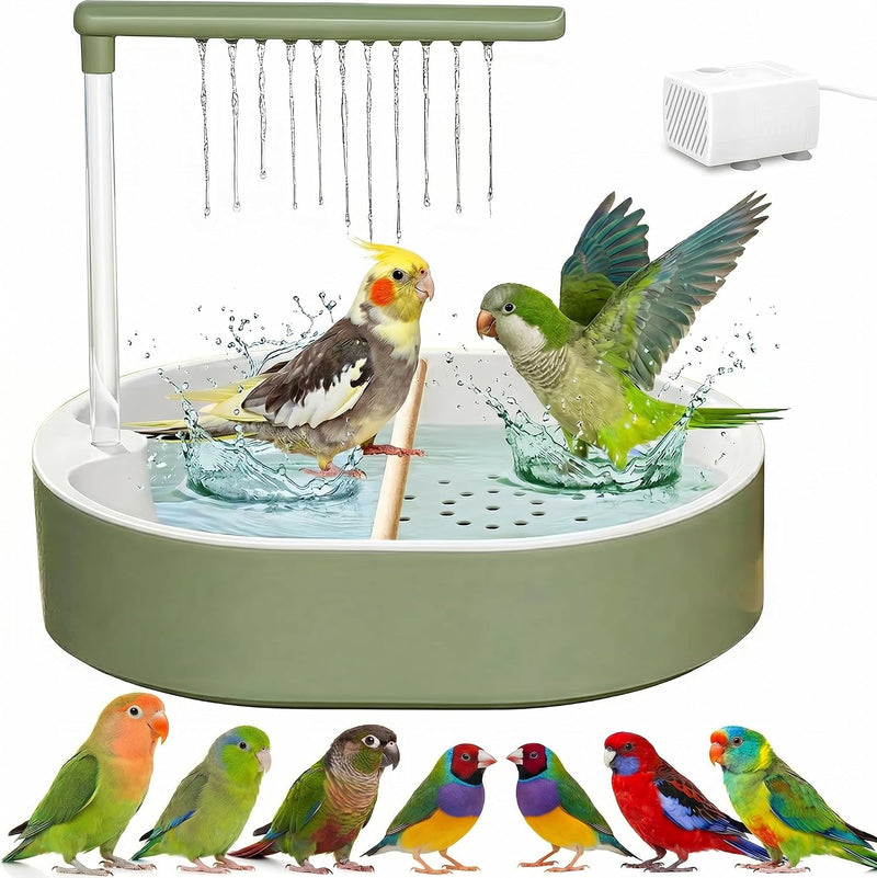 Indoor Bird Bath Fountain & Parrot Shower with Natural Pine Wood Perch