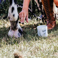 EQUIDERMA Zinc Oxide Paste for Horses, Ointment for Horse Skin Conditions, 16 Oz.