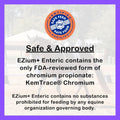 EZium+ Enteric Chelated Magnesium Equine Supplement for Horses – 9.5 lb Resealable Bag (30-Day Supply) – Supports Health