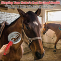 Horse Brush Reversible Stainless Steel Curry Comb with Soft Touch Grip