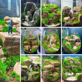 Aquarium Rocks 5lb Fish Tank Stone 2-5 inch Natural Pagoda Rocks for Aquascaping Landscaping Models Terrariums Reptile a