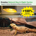 2 Pack 100W Reptile Heat Lamp Bulbs, Full Spectrum UVA/UVB Reptile Light Bulb and Basking Spot Light, UVB Light for Rept