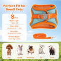 Bunny Harness and Leash Set Double Buckle | Soft Rabbit Harnesses with Carrot | Adjustable Reflective Strips Jacket Esca