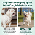 Collapsed Trachea Treatment for Dogs, Trachea Cough Elixir, Dog Cough Treatment –Natural Herbs Respiratory Support, Prom