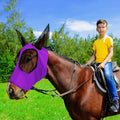 Weewooday 2 Pcs Mesh Horse Fly Mask with Ears, M, Purple, Pink