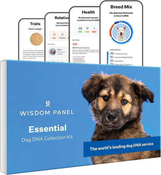 Wisdom Panel Essential Dog DNA Kit: Most Accurate Test for 365+ Breeds, 30 Genetic Health Conditions, 50+ Traits, Relatives, Ancestry - 1 Pack