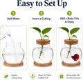 Healifty Desktop Fish Bowl, Glass Hydroponic Planter Tank Kit 5. 1 X 4. 7"