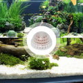3 PCS Aquarium Moss Ball Holder Professional Aquarium Plant Holder Plastic Moss Ball Fish Tank Plant Holder with Filter 
