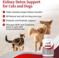 AZOTHRIVE - Kidney Probiotic Support Supplement for Cats and Dogs - 18 Billion CFU - Manage Renal Toxins - CKD - Made in USA - No Refrigeration Needed - 120ct Easy to Swallow Small Oral Capsules