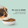 Kaytee Timothy Complete Guinea Pig Food with Timothy Hay, 9.5 Pounds