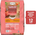 Nutrish Salmon Dry Dog Food, 12 lb. Bag (Rachael Ray)