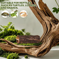 DECHOUS Natural Cork Bark for Reptile Hideout Round Cork Bark Tube Terrarium Accessories 7.8x3in Wood Tree Trunk Climbin