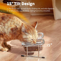 Hannadepot Elevated Cat Bowls, 15° Tilted Glass Raised Cat Food Bowl with Stainless Steel Stand, 2 Large Capacity Glass Cat Bowls and 4 Anti Slip Feet, Suitable for Cats and Little Dogs