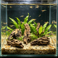 10 PCS Natural Honeycomb Wood 2-4", Porous Aquarium Driftwood