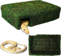 L Size Green Moss Cave Hide, Reptile Shelter for Gecko Snake